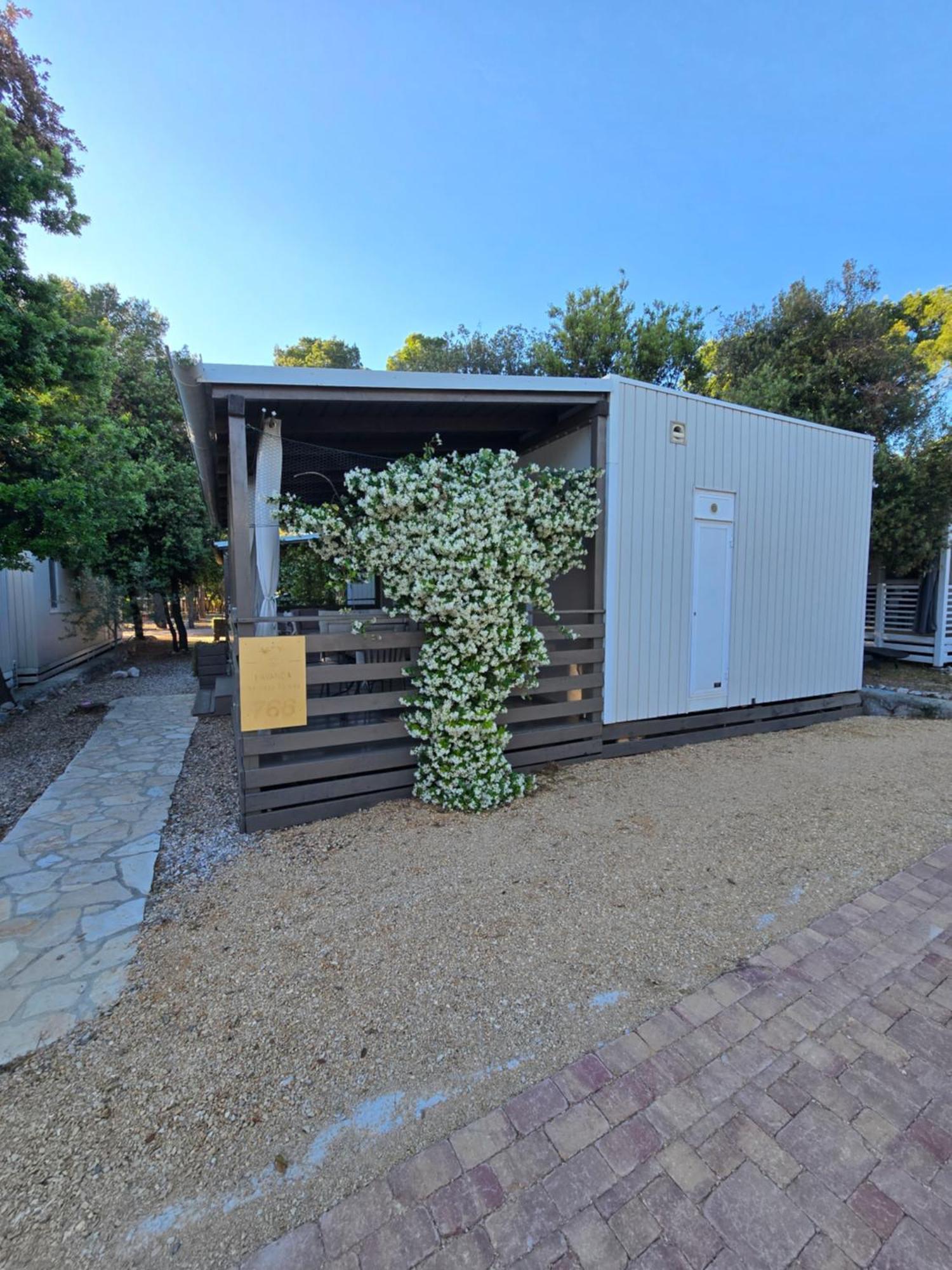 Holiday Homes Lavanda - Biograd Na Moru Bagian luar foto